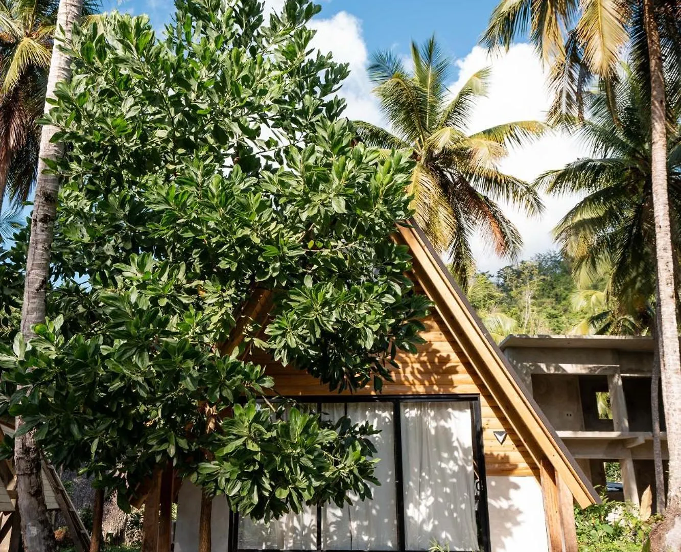 Jungle Cottage El Valle Villa